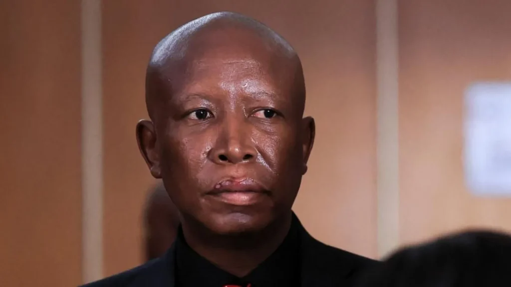 GUN DRAMA! Julius Malema JAILED FOR 5 YEARS