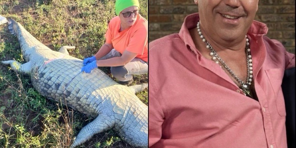 Businessman Eaten by Crocodile in South Africa After Being Swept Into Flooded River in Horror Incident