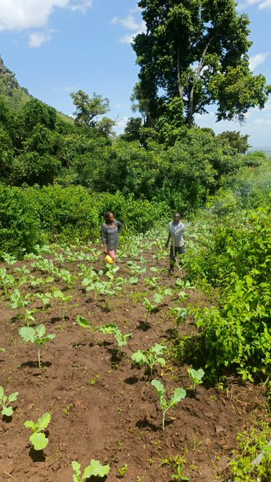 From Casual Labourer to Agripreneur: How PDM Transformed Lopua Paul’s Life in Karamoja
