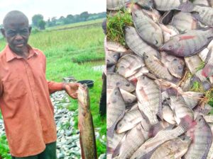 ONC PDM Success Story: From UGX 1 Million Seed Capital to UGX 6.3 Million in Fish Sales