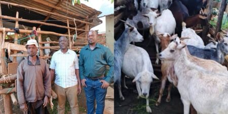 From Poverty to Progress: Mukono Farmer Praises President Museveni’s PDM Initiative