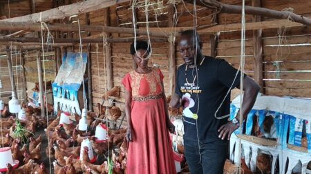 ONC Showcases PDM Impact as Farmer Boosts Income from UGX 100,000 to UGX 600,000